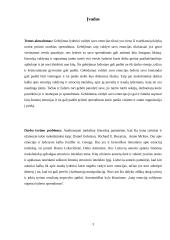 Lyderio emocijų poveikis verslo sprendimams 2 puslapis