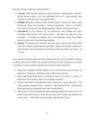 Lyderio emocijų poveikis verslo sprendimams 8 puslapis