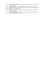 Požiūris į abortus 7 puslapis