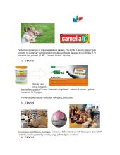 Reklama, pardavimas ir prekyba. Praktiniai darbai 8 puslapis