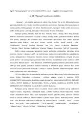 Reklamos efektyvumo tyrimas ir biudžeto 2009 metams sudarymas: drabužių prekyba APB "Apranga" 5 puslapis