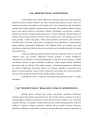 Reklamos efektyvumo vertinimas UAB "Medinės šukos" 2 puslapis