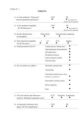 Rinkos tyrimas: benzininių grandininių motopjūklų  HQ 254 XP rinka Lietuvoje 11 puslapis