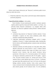 Rinkos tyrimas: benzininių grandininių motopjūklų  HQ 254 XP rinka Lietuvoje 6 puslapis