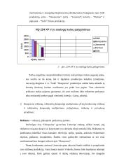 Rinkos tyrimas: benzininių grandininių motopjūklų  HQ 254 XP rinka Lietuvoje 8 puslapis