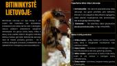 Bičių laikymas medui, vaškui ir kitiems produktams  8 puslapis