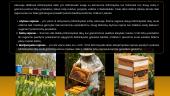 Bičių laikymas medui, vaškui ir kitiems produktams  9 puslapis