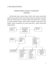 Sektoriaus tyrimas 2 puslapis