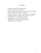 Sektoriaus tyrimas 11 puslapis