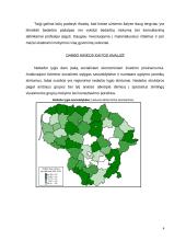 Sektoriaus tyrimas 4 puslapis