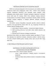 Sektoriaus tyrimas 7 puslapis