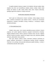 Sektoriaus tyrimas 10 puslapis