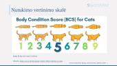 Gyvūno priežiūros/nepriežiūros įvertinimas (nutukimas) 6 puslapis