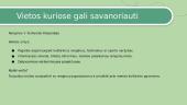 Savanorystė - skaidrės 11 puslapis