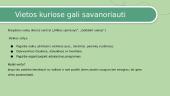 Savanorystė - skaidrės 9 puslapis