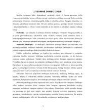 Sociologijos tyrimas: studentų nuomonė apie narkotikų vartojimo priežastis ir pasekmes 3 puslapis