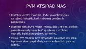Pridėtinės vertės mokestis (PVM) (skaidrės) 2 puslapis