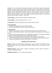 Sociologinis tyrimas: ar šiuolaikinis jaunimas klauso klasikinės muzikos? 4 puslapis