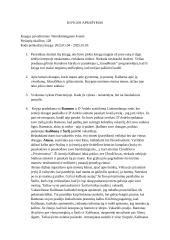 Knygos aprašymas. Nereikšmingumo šventė