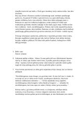 Knygos aprašymas. Nereikšmingumo šventė 2 puslapis