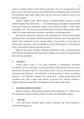 Sociologinis tyrimas: dirbančių žmonių savijauta darbe 4 puslapis