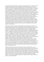 Žmogaus kančia literatūroje 2 puslapis