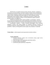 Grupės narių tarpasmeninių santykių struktūra 2 puslapis