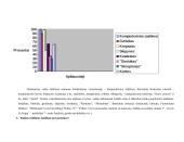 Statistinė apklausa: vaikų žaidimai 2 puslapis