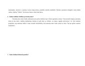 Statistinė apklausa: vaikų žaidimai 4 puslapis