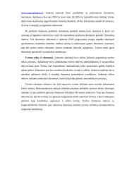 Logistikos procesų tobulinimo galimybės Klaipėdos regione 4 puslapis