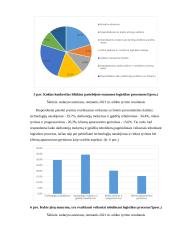 Logistikos procesų tobulinimo galimybės Klaipėdos regione 8 puslapis
