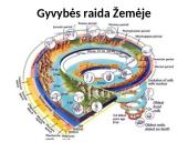 Gyvybės atsiradimas ir raida. Evoliucija 12 puslapis