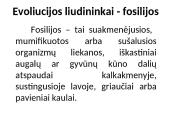 Gyvybės atsiradimas ir raida. Evoliucija 13 puslapis