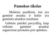 Gyvybės atsiradimas ir raida. Evoliucija 19 puslapis