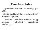 Gyvybės atsiradimas ir raida. Evoliucija 3 puslapis