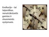 Gyvybės atsiradimas ir raida. Evoliucija 4 puslapis