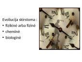 Gyvybės atsiradimas ir raida. Evoliucija 6 puslapis