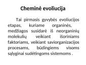 Gyvybės atsiradimas ir raida. Evoliucija 8 puslapis