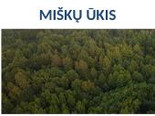 Miškų ūkis