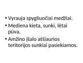 Miškų ūkis 11 puslapis