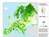 Miškų ūkis 12 puslapis