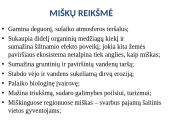 Miškų ūkis 3 puslapis
