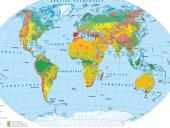 Miškų ūkis 4 puslapis