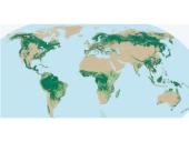 Miškų ūkis 5 puslapis