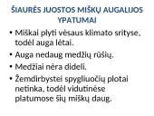 Miškų ūkis 10 puslapis