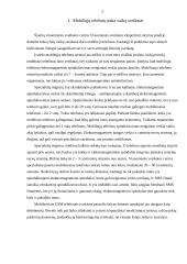 Statistinis tyrimas: ar telefonas kenkia sveikatai? 2 puslapis