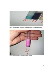 Pieno toksinai. Labaratorinis darbas 10 puslapis