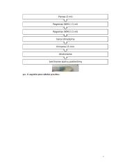 Pieno toksinai. Labaratorinis darbas 6 puslapis