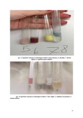 Pieno toksinai. Labaratorinis darbas 9 puslapis
