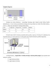 Statistinis tyrimas: kokias rekreacines įstaigas renkasi paaugliai 6 puslapis